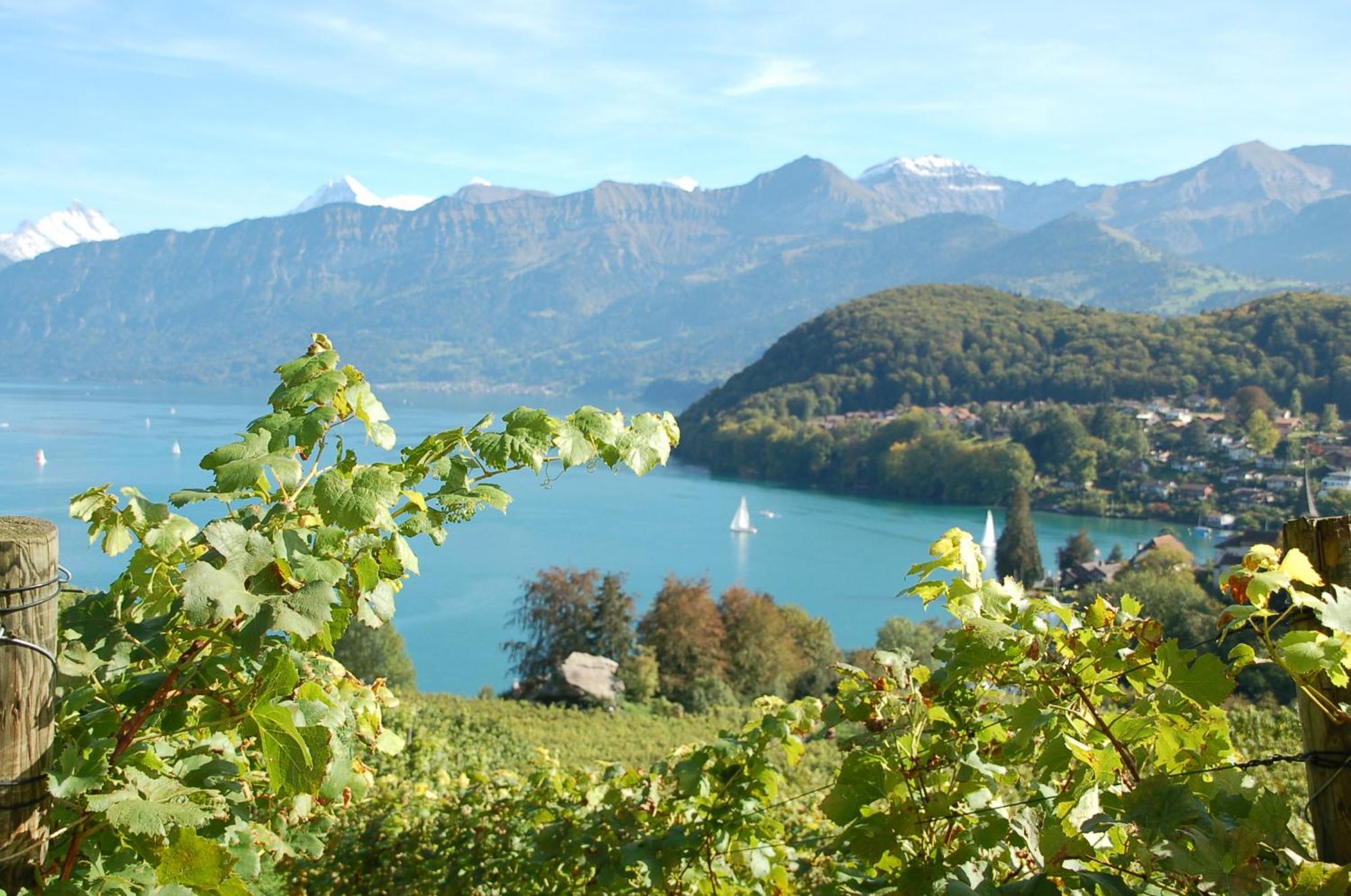 Seaside Hotel Spiez