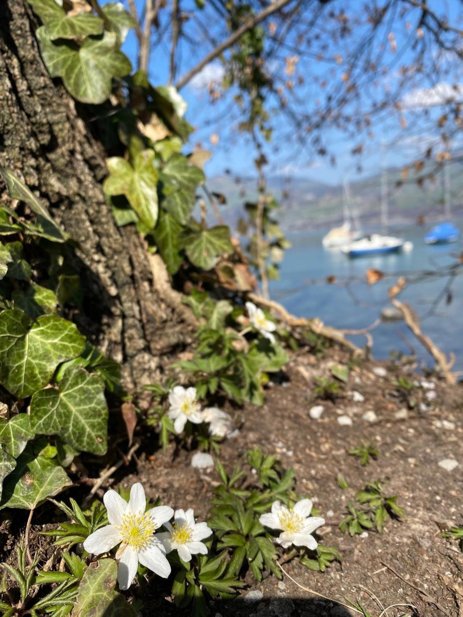 होटल Hotel Seaside Spiez